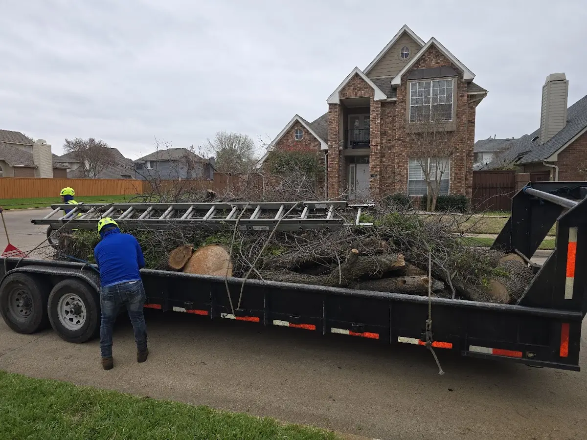 Expert Tree Fertilization with proper safety equipment in Simpson